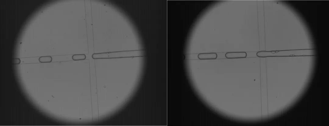 �۷���ʹ���-��Ӫ��ȫ,����һ·�ɳ�