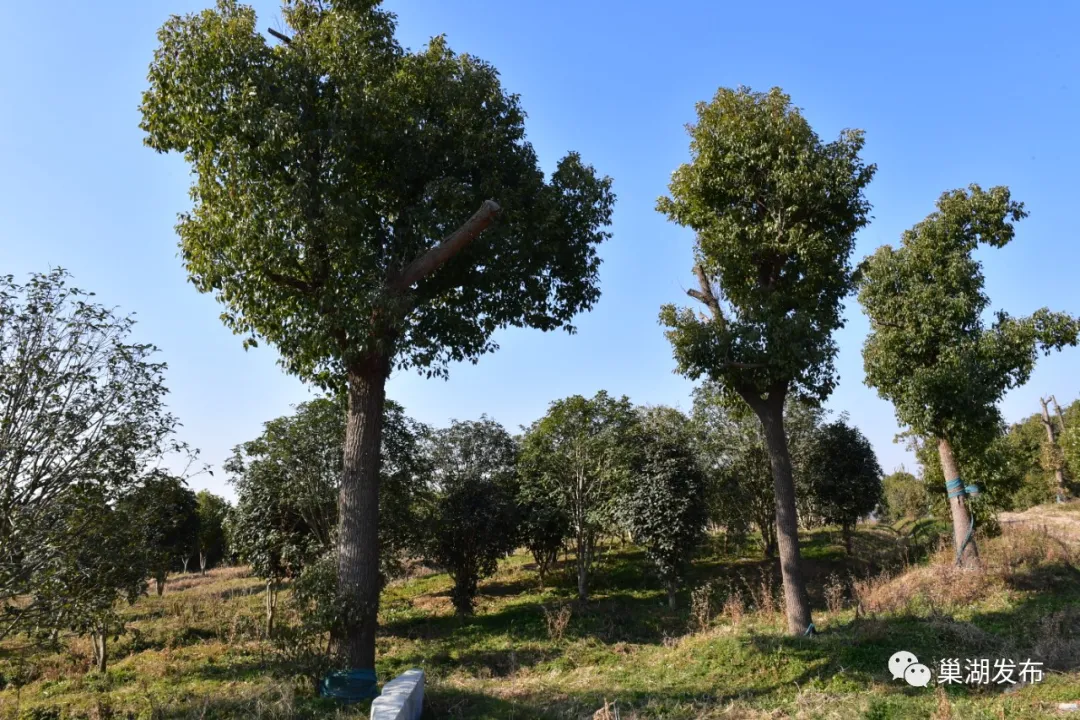 �۷���ʹ���-��Ӫ��ȫ,����һ·�ɳ�