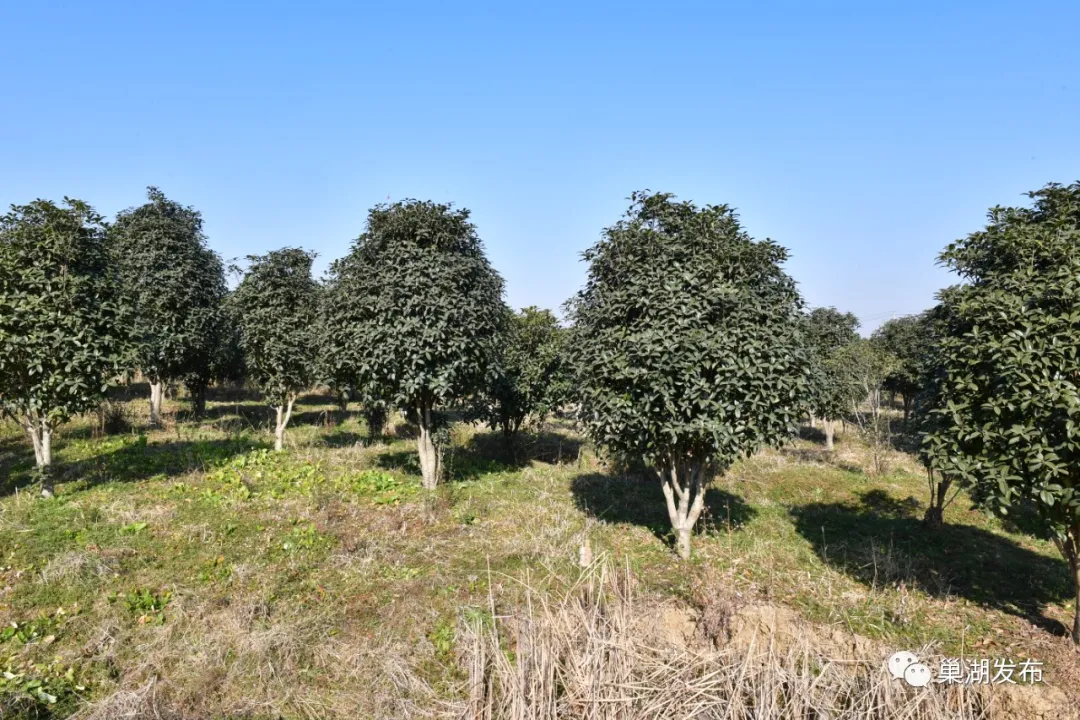 �۷���ʹ���-��Ӫ��ȫ,����һ·�ɳ�