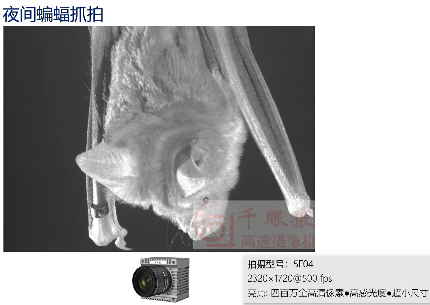 �۷���ʹ���-��Ӫ��ȫ,����һ·�ɳ�