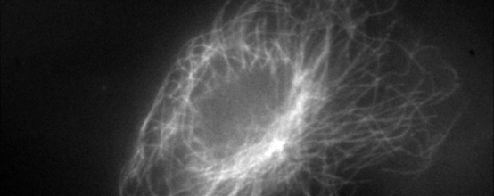 �۷���ʹ���-��Ӫ��ȫ,����һ·�ɳ�