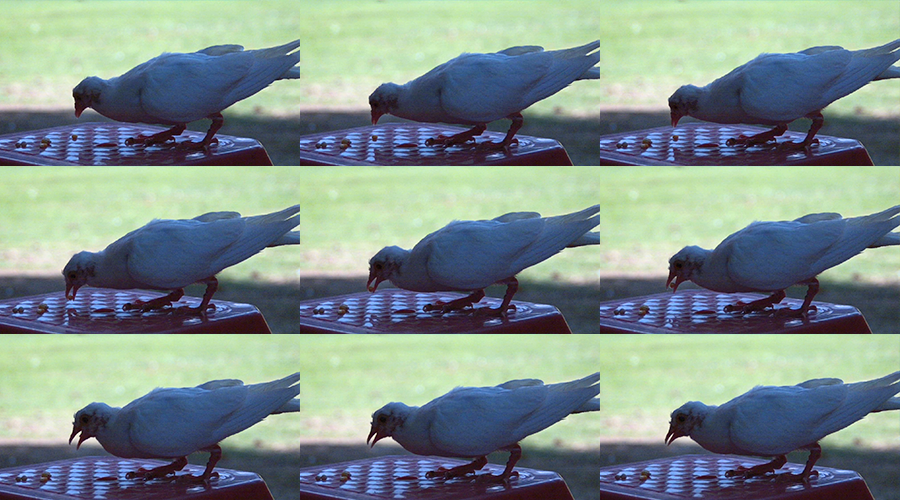 �۷���ʹ���-��Ӫ��ȫ,����һ·�ɳ�