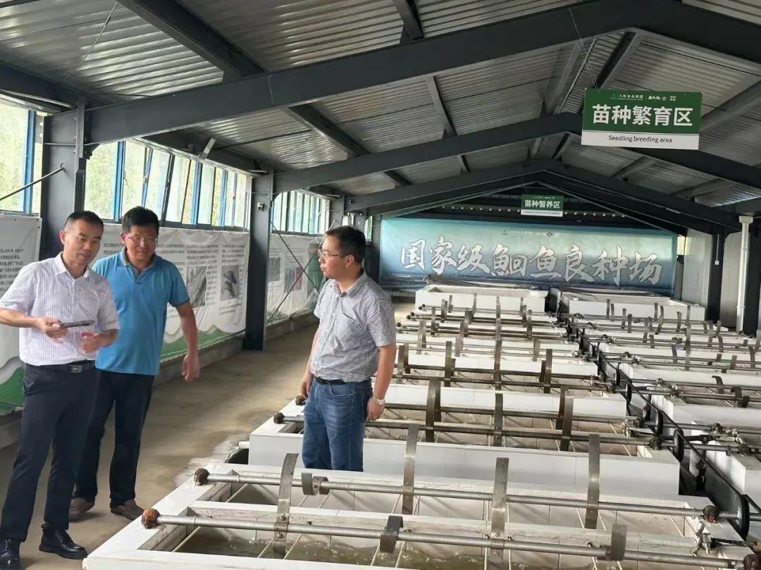 巅峰国际官网-钻营健全,你我一路成长